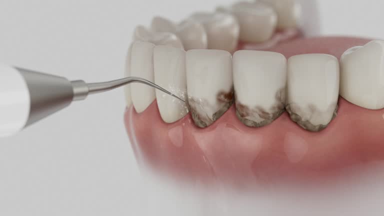 Reliable Dental contractor in Crosby, ND by Dentist Open Now